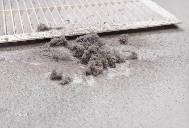 Best Air Duct Cleaning Near Me  in Storrs, CT