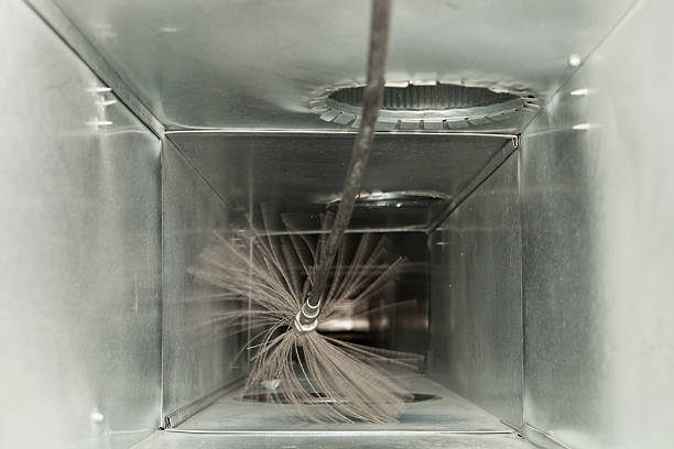 Air Duct Mold Removal in Storrs, CT